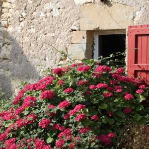 Image gite_la_vigonie_ext-10