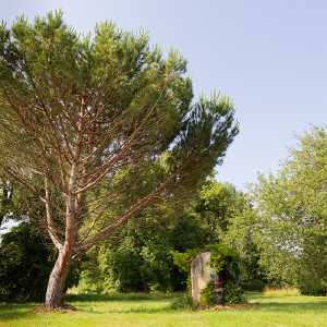 Image gite_la_vigonie_ext-6