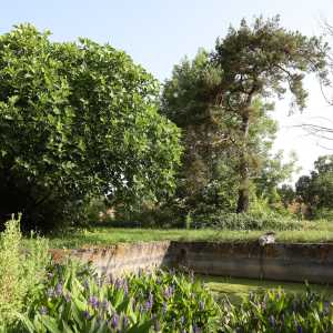 Image gite_la_vigonie_ext-7